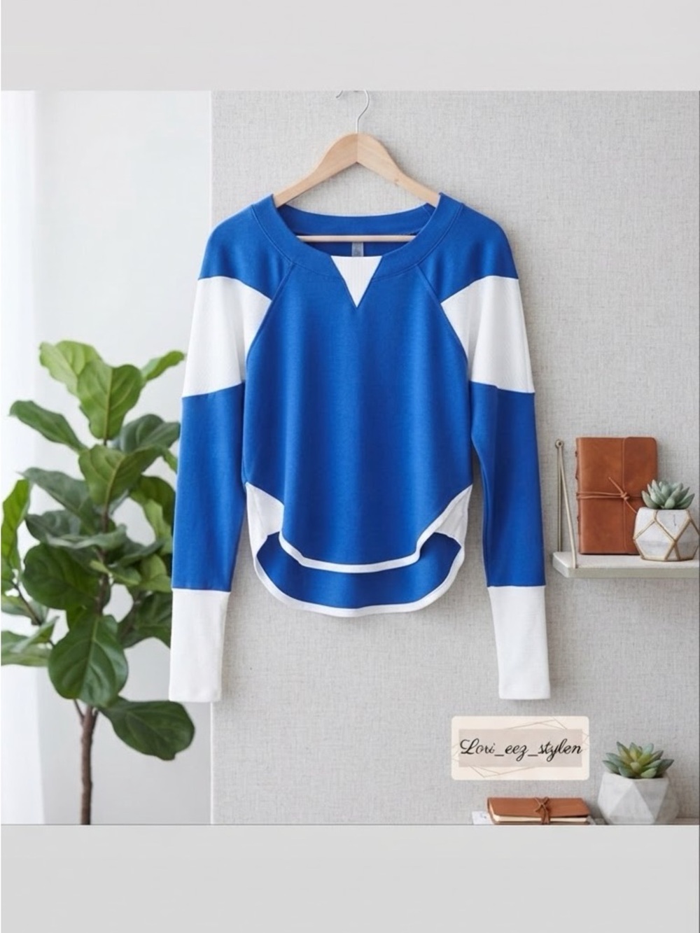 Free People Blue and White Contrast Pullover